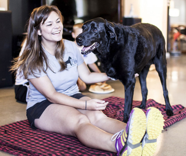 The Beautiful Story Of A Dying Dog S Last Day E News